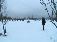 Немецкое воинское захоронение