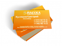 Визитка2
