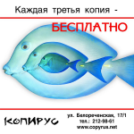 Баннер "Третья копия" (4)