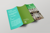 Рекламная листовка для зоопарка