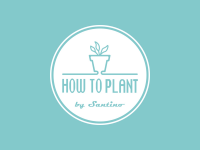 How to Plant