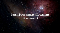 Видеоролик "Уроки гадания"