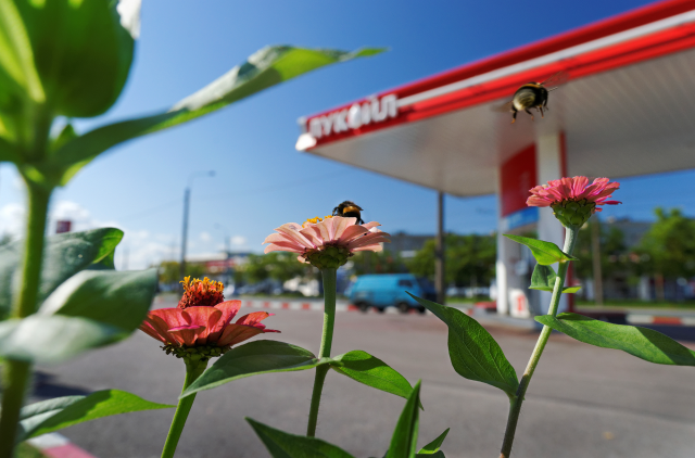 промышленная фотосъемка, съемка производственных объектов ЛУКОЙЛ