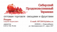 Визитка_3