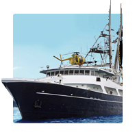 < ПИТАНИЕ >  ЭКО Море - морепродукты