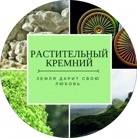 Работа 3286352