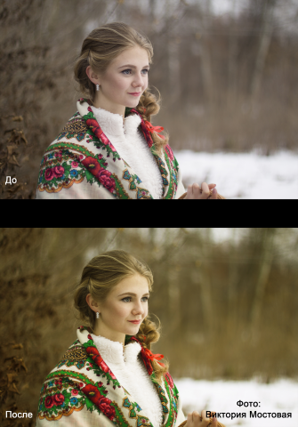 Работа 3204227