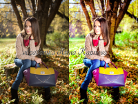 Работа 2379115