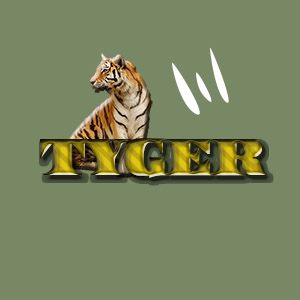 Tyger