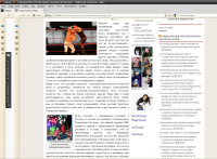 Репортаж с реслинг-шоу