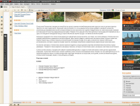 Наполнение для сайта туристического агентства