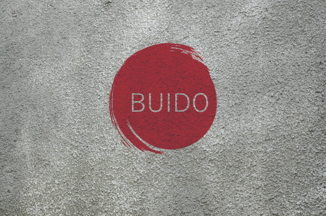 Разработка логотипа для спортивно-оздоровительного клуба "BUIDO"