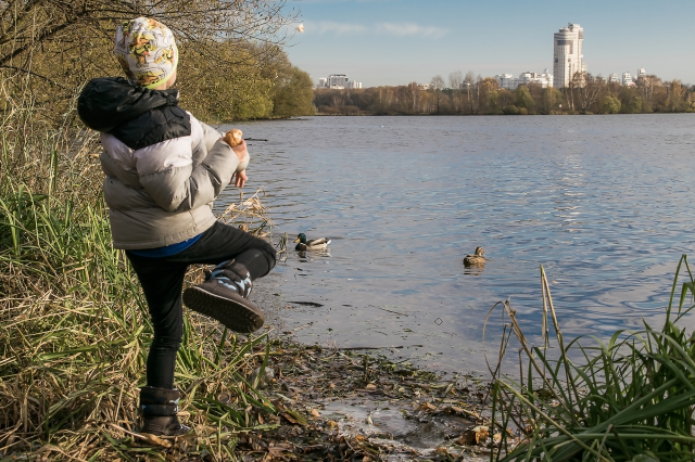 Работа 3285389