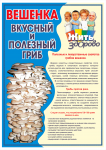 Листовка
