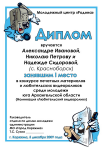 Дипломы для конкурса юных журналистов