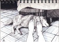 Иллюстрация.