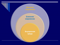 Разработка стратегии развития ООО "ХХХ"