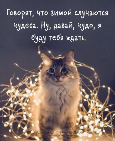 Уникальный контент