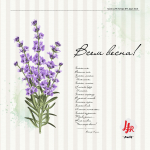 Журнал "LFR Family"