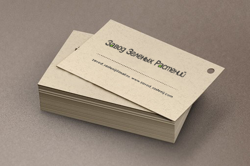 Имиджевая визитка "Завод зелёных растений"