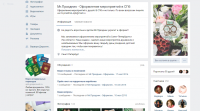 Ведение социальных сетей (ВКонтакте, Instagram), Mr.Праздник