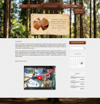 Сайт для производителя материалов из дерева "СтройДекор"