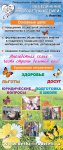 Объединение многодетных семей