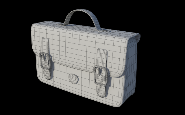 Bag