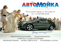 Работа 2155631