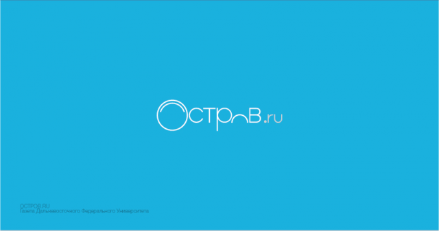 Работа 3272039