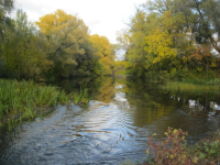 Осенняя река