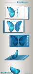 Айдентика компании "BlueMorpho"