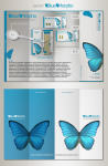 Айдентика компании "BlueMorpho"
