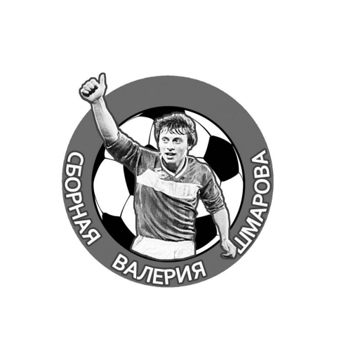 Сборная Валерия Шмарова (для фестиваля Спортивная Волна)