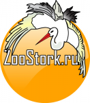 Логотип для зоомагазина