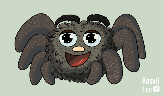 Паук
