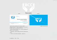 Компания ВСС