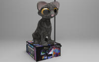 Kitten