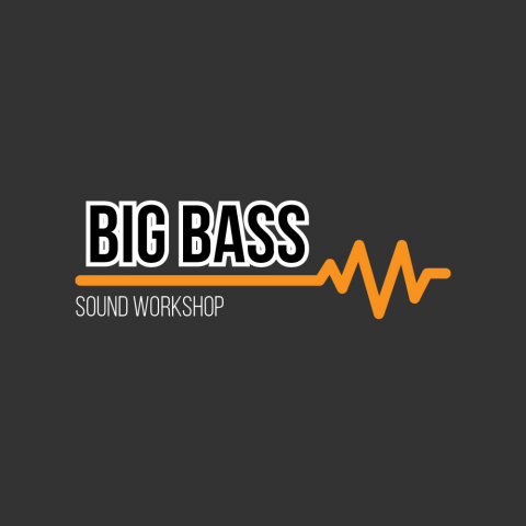 Логотип Bigbass