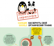 Перевод инфографики для SEO-сайта