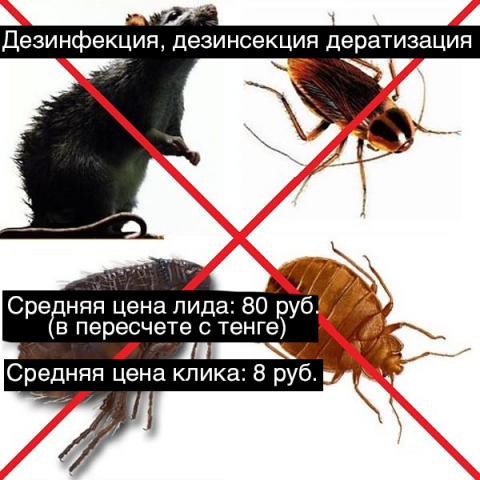Кейс по дезинфекции Алматы