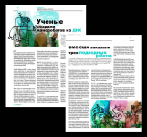 Работа 894408