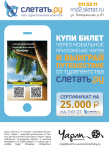 Работа 2579711