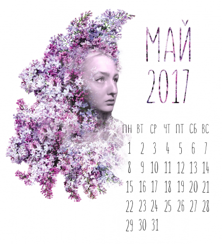Работа 3263704
