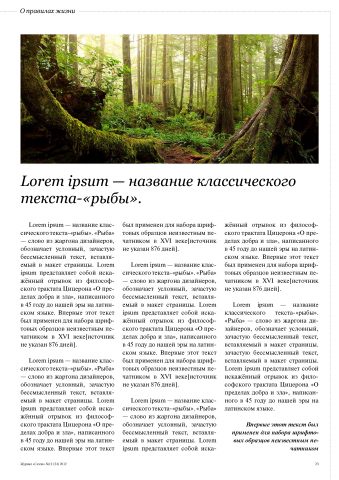 Для журнала