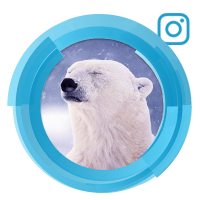 Ведение и продвижение Instagram аккаунта ТМ «4 сезона»