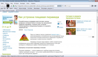 Как устроена пищевая пирамида