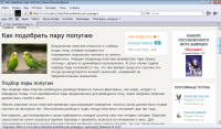 Как подобрать пару попугаю