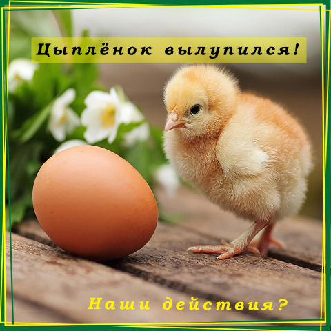 Работа 3262581