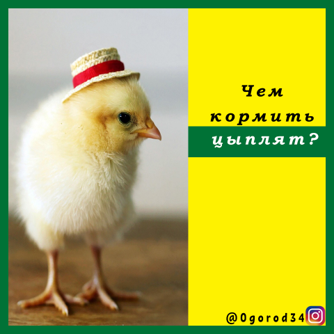 Пост в инстаграм